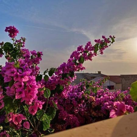 Apartmani Martinovka Drasnice Dış mekan fotoğraf