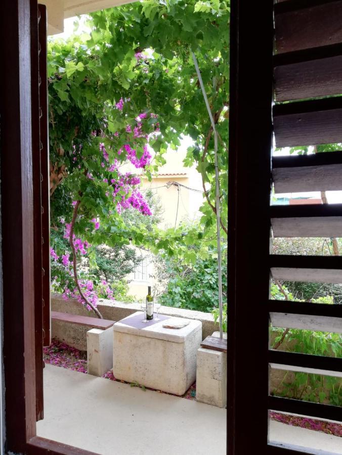 Apartmani Martinovka Drasnice Dış mekan fotoğraf